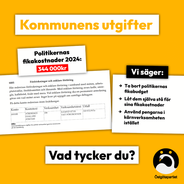 Politikernas fikakostnader 2024